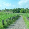 東京都立の公園