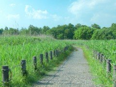 東京都立の公園・庭園（全81）のドローン飛行は全面禁止。