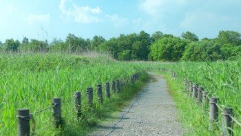 東京都立の公園・庭園（全81）のドローン飛行は全面禁止。