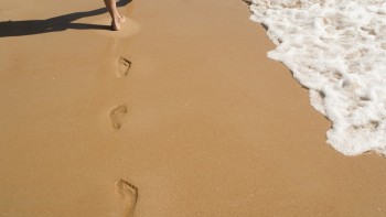 2016年の振り返りと、2017年への想い