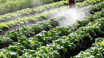 ドローン市場を考えると、これから参入するなら「検査」「農業」である件。