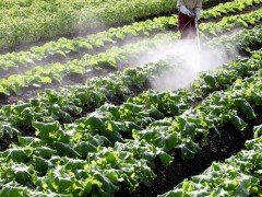 ドローン市場を考えると、これから参入するなら「検査」「農業」である件。