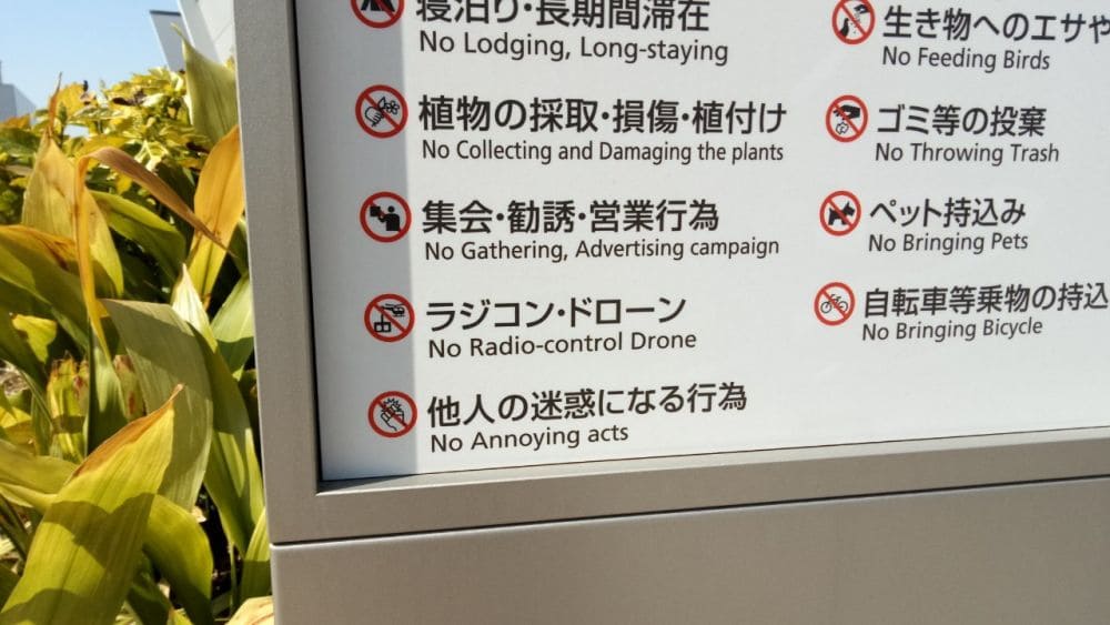 豊洲市場