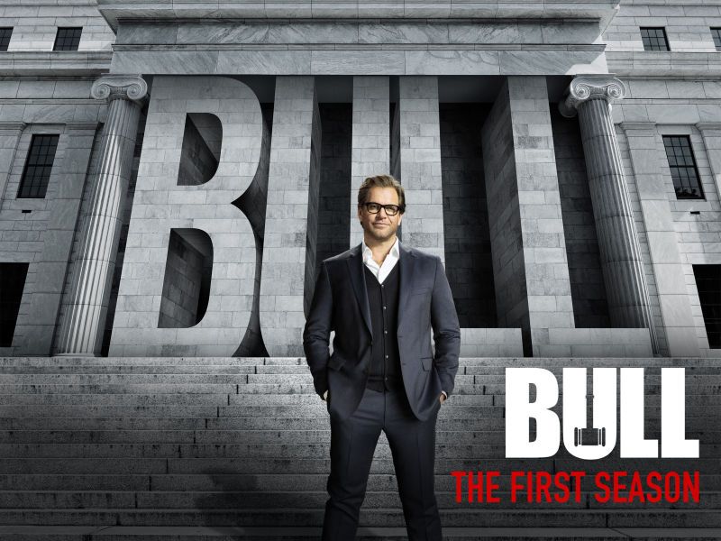 bull