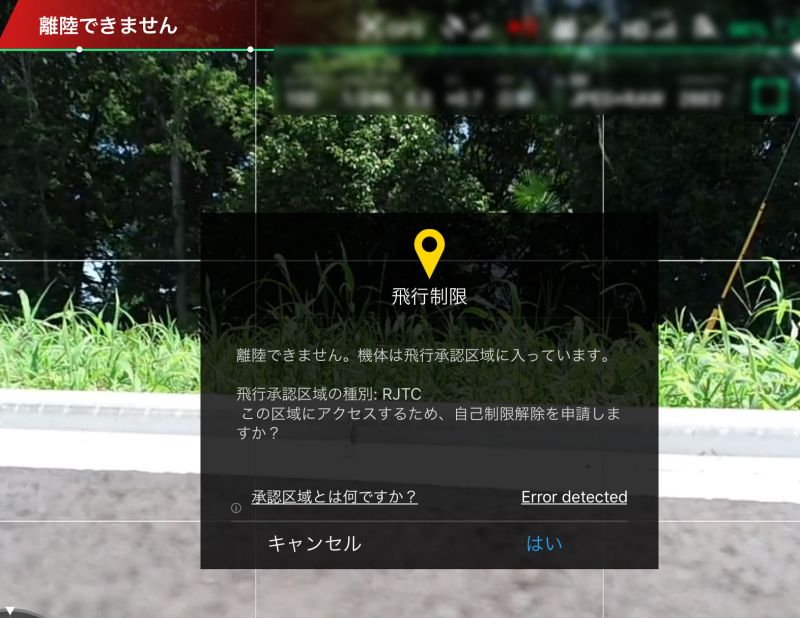 飛行禁止